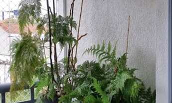 Imagem: Apartamento São Caetano do Sul