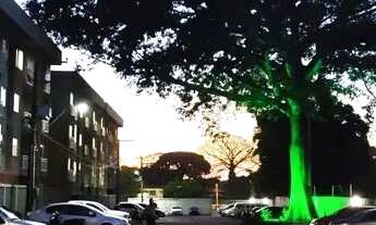 Imagem 3: Apartamento para venda tem 57 metros quadrados com 2 quartos em Maiobinha - São Luís - MA