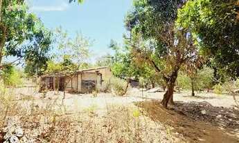 Imagem 7: Excelente Chacara com 2 Hectares, no Capão cumprido