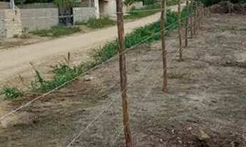 Imagem 2: Lote em Gravatá