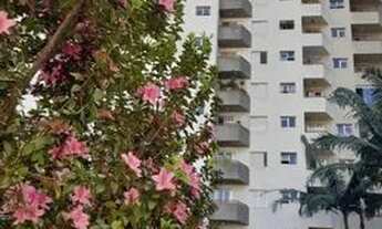 Imagem: Apartamentos e Kit nets no Bela Vista e