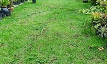 Imagem 2: Vendo Apart. Com Garden e 3 Quartos No Cond. Ideal Torquarto