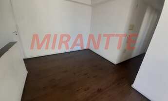 Imagem 3: Lindo apartamento em Vila Guilherme