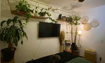 Imagem 6: Aluguel Apartamento 2 quartos próximo Ingleses