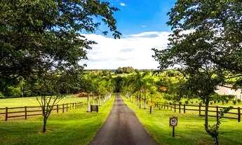 Imagem: Fazenda/Sítio/Chácara para venda tem 125