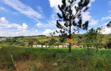 Imagem 7: LOTES PARA CHACARA EM ATIBAIA