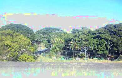 Imagem 6: Casa-São Paulo-TUCURUVI