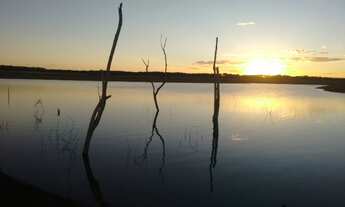 Imagem 10: Lotes na ilha do mangabal são José do buriti , Felixlândia , (represa de três marias