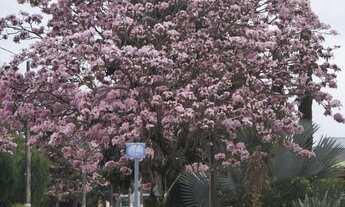 Imagem 2: Casa no Colonial Village