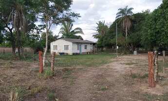 Imagem 2: FAZENDA BEIRA DE RIO 84 HA