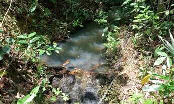 Imagem 6: Terreno rural 7.8ha, casa antiga, barracão, arvores frutíferas, 2 nascentes,2 lagoas
