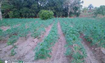 Imagem 7: Sítio ferraz Chácara com venda por R$580.000