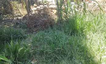 Imagem 2: Terreno à venda, 630 m² por R$ 382.000,00 - Vila Verde - Itapevi/SP