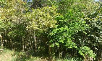 Imagem 2: Rancho lago Corumbá 4