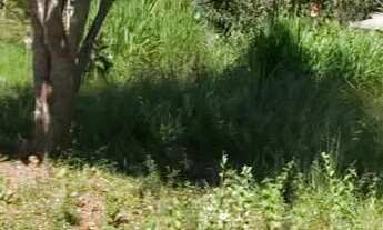 Imagem 7: Chácara com rio oportunidade 105 mil