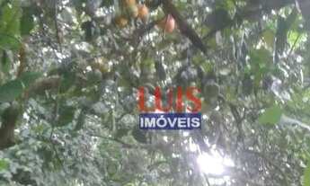 Imagem 4: Terreno à venda, 800 m² por R$ 200.000,00 - Várzea das Moças - Niterói/RJ