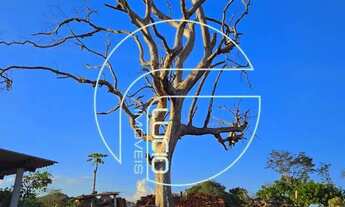 Imagem 6: Imóvel para venda possui 96000 metros quadrados com 8 quartos em Zona Rural - Abadiânia