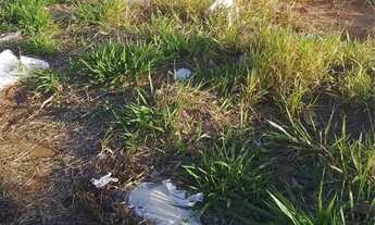 Imagem: Terreno Comercial bairro Fraternidade