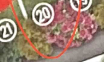 Imagem 6: Lote a venda no Empreendimento: Serena Campinas 365 metros