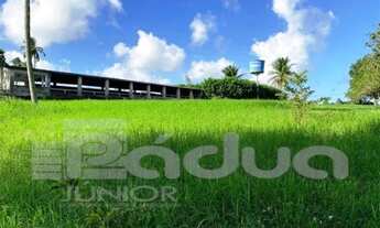 Imagem 4: FAZENDA POVOADO TIJUPEBA EM ITAPORANGA D´AJUDA