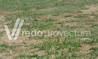 Imagem 6: Terreno - Aurora - Paulínia