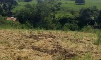 Imagem 5: Chácara no município de Leopoldo de Bulhões