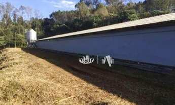 Imagem 5: Barracão à venda, 2100 m² por R$ 1.900.000,00 - Centro - Tamarana/PR