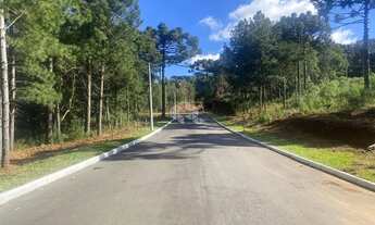 Imagem 3: TERRENO EM GRAMADO