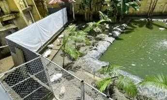 Imagem 2: Casa no Planalto