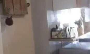 Imagem 5: APARTAMENTO - JARDIM DAS ACÁCIAS - SP