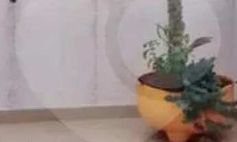 Imagem 5: Cobertura com 3 quartos à venda em Vila Santa Terezinha (zona Norte) - SP