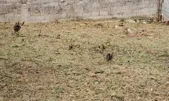 Imagem 3: TERRENO - RECREIO MARISTELA - SP