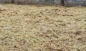 Imagem 4: TERRENO - RECREIO MARISTELA - SP