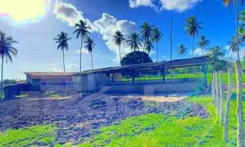 Imagem 3: FAZENDA POVOADO TIJUPEBA EM ITAPORANGA D´AJUDA