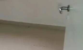 Imagem 5: Alugo casa de 2/4!