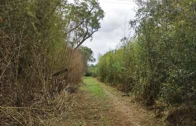 Imagem 7: Área de 3.000m² em Ibiúna Espaço, Privacidade e Alto Potencial de Valorização