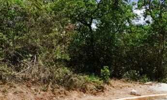 Imagem 5: LOTES - SEM ENTRADA, SEM BUROCRACIA