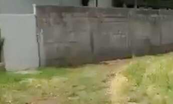 Imagem 2: Lote Parqville Jacarandá 312m²