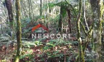 Imagem 4: Lote em Rua da Carapina - Vale do Carapina - São Francisco de Paula/RS