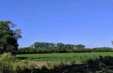 Imagem 2: Terreno barato com acesso fácil e doc ok