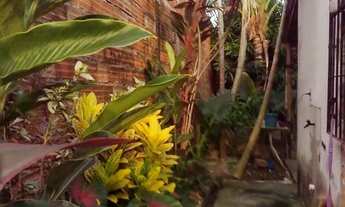 Imagem 4: Casa para vender em Igarapé Miri