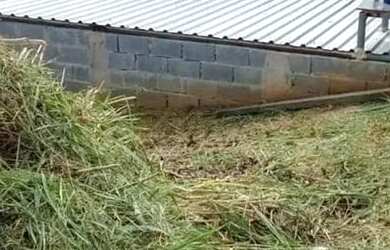 Imagem 6: Lote em Rua Corvina - Barreiro - Mairiporã/SP