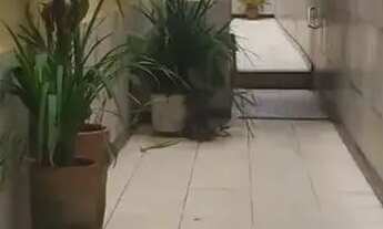 Imagem 4: Imóvel para aluguel possui 130 metros quadrados com 3 quartos