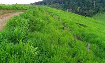 Imagem 3: Sitio em nova uniao