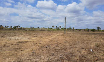 Imagem 6: Fazenda em União-PI