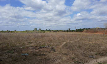 Imagem 4: Fazenda em União-PI
