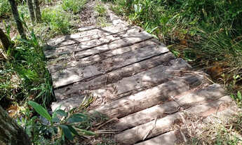 Imagem 4: Terreno com 3 hectares cod 11