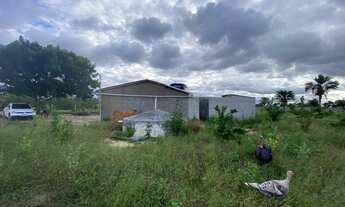 Imagem 2: Vende-Se CASA Com 1 TAREFA de TERRA, Com Energia, Cisterna boa, 70 Pés de Frutas,Cercada