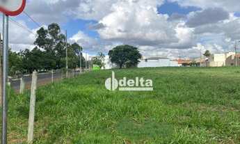 Imagem 4: Terreno à venda, 250 m² por R$ 1.100.000,00 - Jardim Holanda - Uberlândia/MG