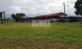 Imagem 3: Fazenda - Rural - Inocência